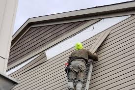 Best Fascia and Soffit Installation  in Cascade Valley, WA